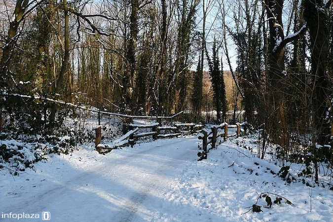 De sneeuwliefhebber zit de laag sneeuw graag dikker worden. (foto C. Buhlert) De sneeuwliefhebber zit de laag sneeuw graag dikker worden. (foto C. Buhlert)