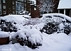 Live blog: sneeuwval deze vrijdag