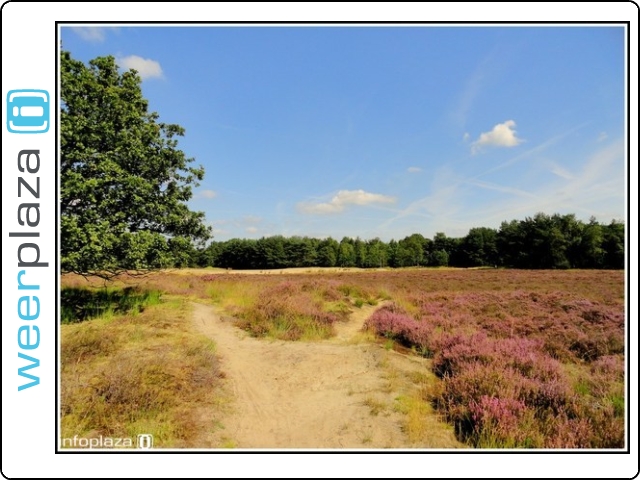 Laat de nazomer maar komen Laat de nazomer maar komen
