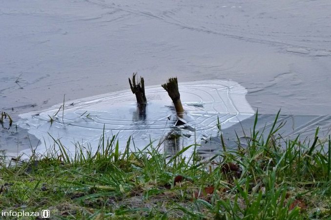 Wordt de ijsvloer sterk genoeg? (foto R Luttikhold) Wordt de ijsvloer sterk genoeg? (foto R Luttikhold)