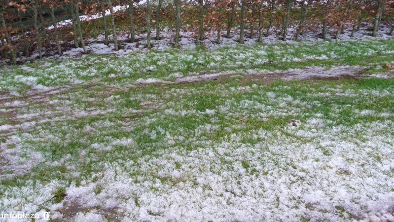 Plaatselijk wit vandaag door hagel (foto J. Wiersema) Plaatselijk wit vandaag door hagel (foto J. Wiersema)
