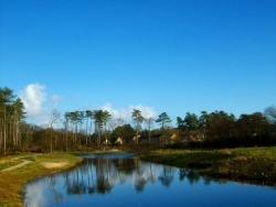 Kerstweer en wat volgt