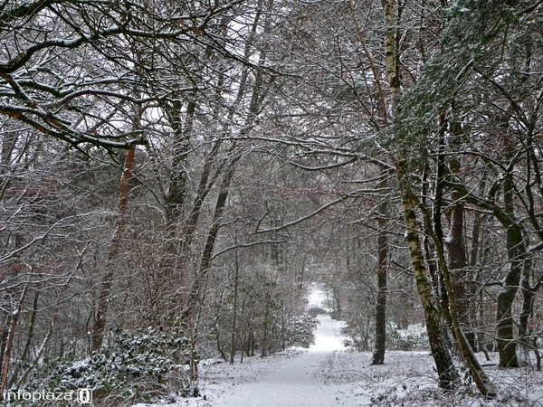 De kans op sneeuw blijft klein, maar niet uitgesloten. De kans op sneeuw blijft klein, maar niet uitgesloten.