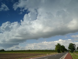 Juni: tamelijk warm, zonnig en vrij droog