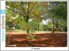 Herfst in beeld