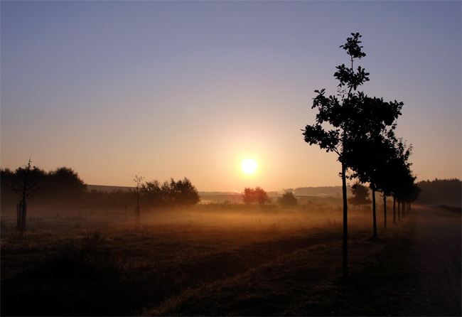 Oktobernachten staan bekend om mist. Oktobernachten staan bekend om mist.