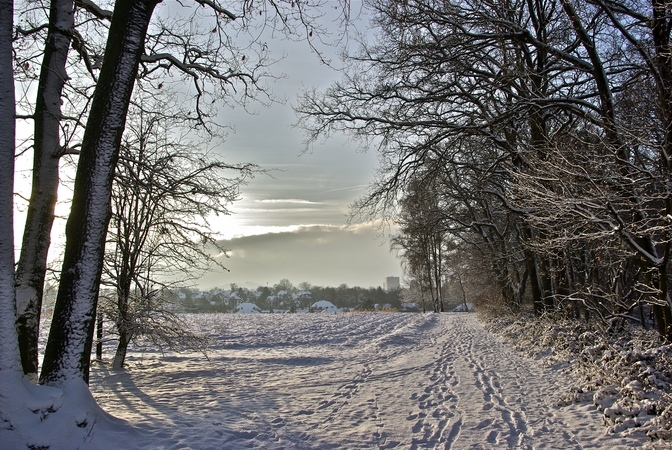 Winter_in_Nederland.jpg